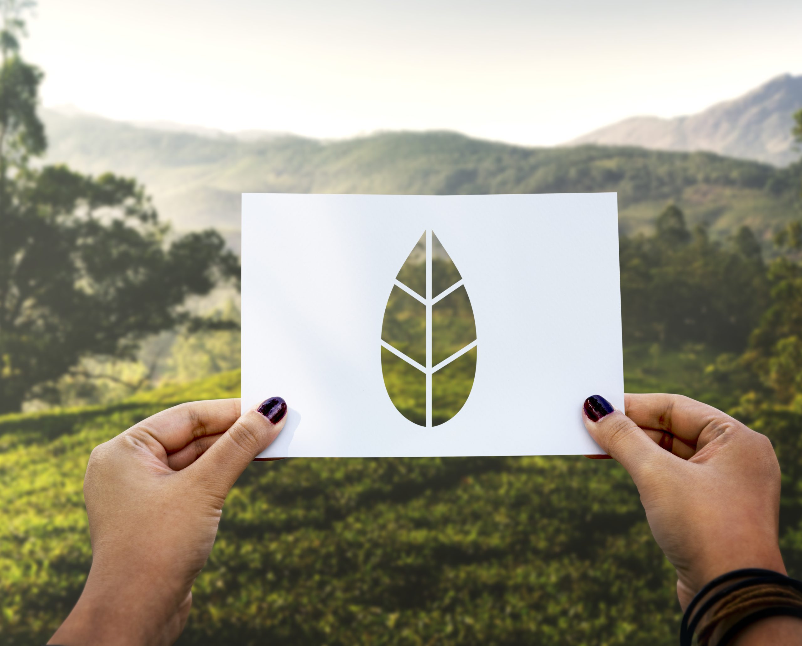 Save the world ecology environmental conservation perforated pap